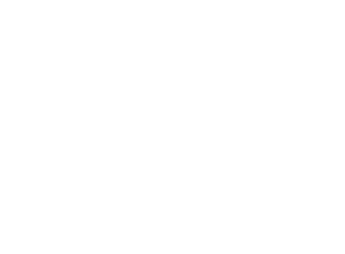 MAN Logo